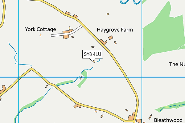 SY8 4LU map - OS VectorMap District (Ordnance Survey)