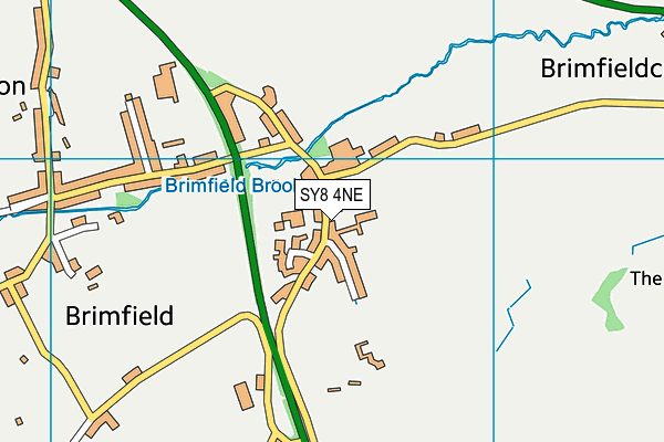 SY8 4NE map - OS VectorMap District (Ordnance Survey)