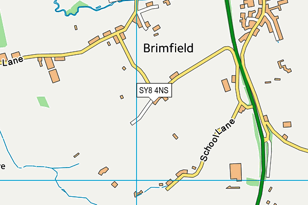 SY8 4NS map - OS VectorMap District (Ordnance Survey)