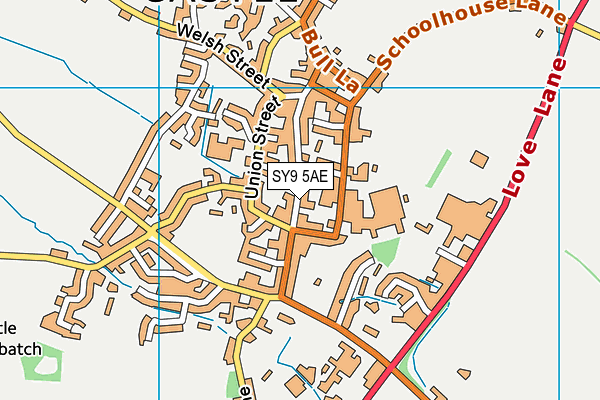 SY9 5AE map - OS VectorMap District (Ordnance Survey)