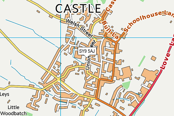 SY9 5AJ map - OS VectorMap District (Ordnance Survey)