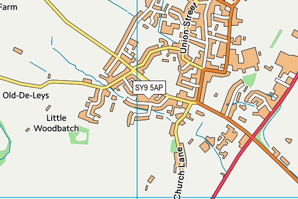 SY9 5AP map - OS VectorMap District (Ordnance Survey)