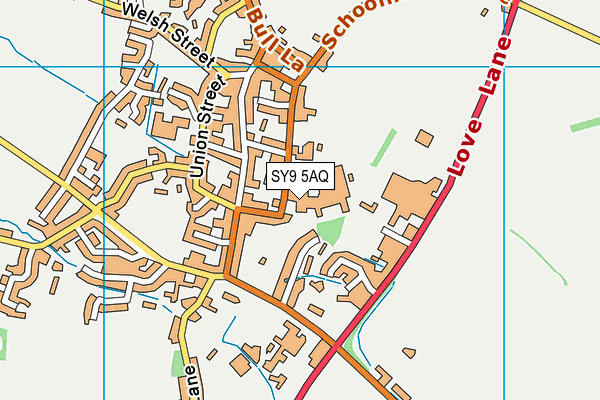SY9 5AQ map - OS VectorMap District (Ordnance Survey)