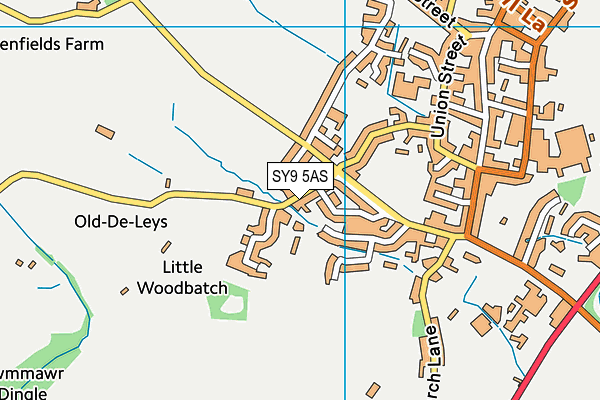 SY9 5AS map - OS VectorMap District (Ordnance Survey)