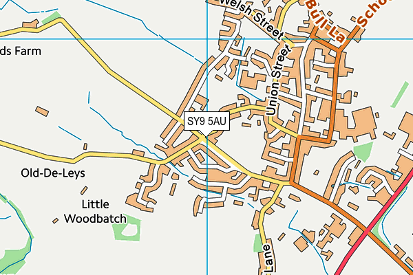 SY9 5AU map - OS VectorMap District (Ordnance Survey)