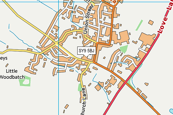SY9 5BJ map - OS VectorMap District (Ordnance Survey)
