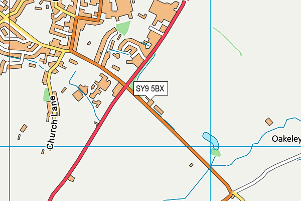 SY9 5BX map - OS VectorMap District (Ordnance Survey)
