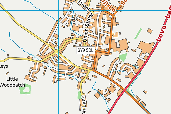 SY9 5DL map - OS VectorMap District (Ordnance Survey)