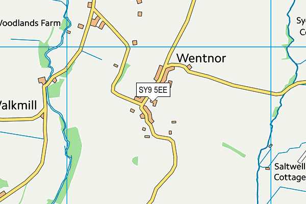 SY9 5EE map - OS VectorMap District (Ordnance Survey)