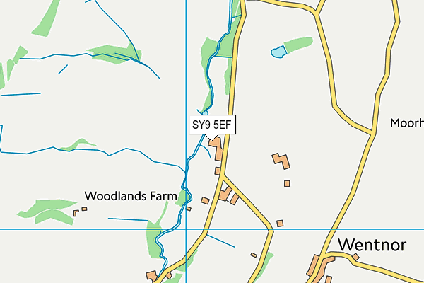 SY9 5EF map - OS VectorMap District (Ordnance Survey)