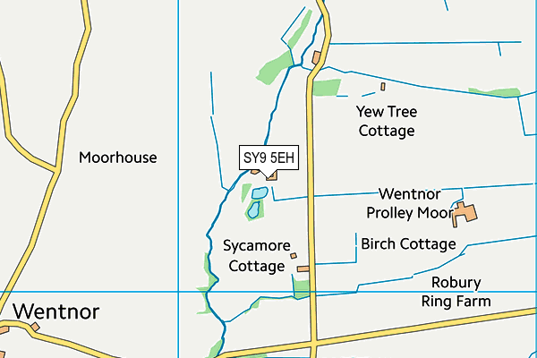 SY9 5EH map - OS VectorMap District (Ordnance Survey)