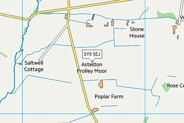 SY9 5EJ map - OS VectorMap District (Ordnance Survey)