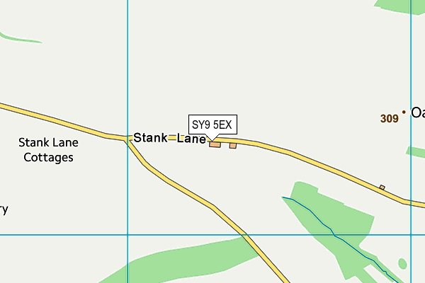 SY9 5EX map - OS VectorMap District (Ordnance Survey)