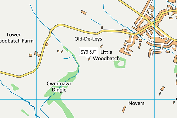 SY9 5JT map - OS VectorMap District (Ordnance Survey)