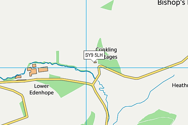 SY9 5LH map - OS VectorMap District (Ordnance Survey)