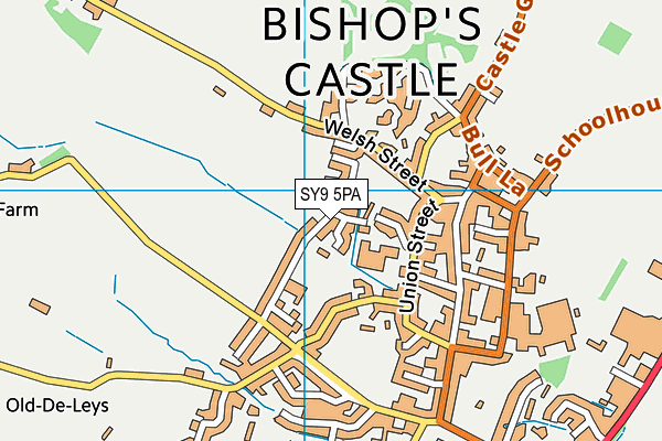 Bishops Castle Primary School map (SY9 5PA) - OS VectorMap District (Ordnance Survey)