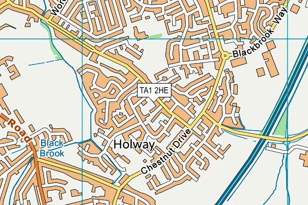 TA1 2HE map - OS VectorMap District (Ordnance Survey)