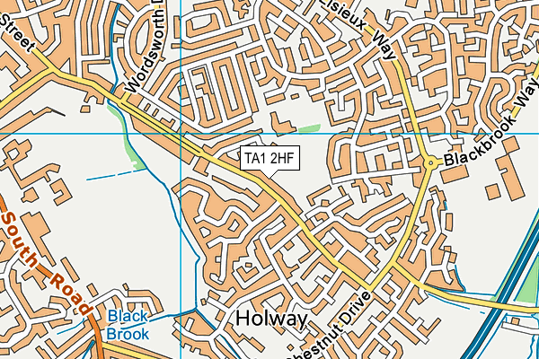 TA1 2HF map - OS VectorMap District (Ordnance Survey)