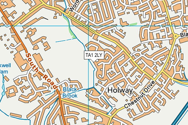 TA1 2LY map - OS VectorMap District (Ordnance Survey)