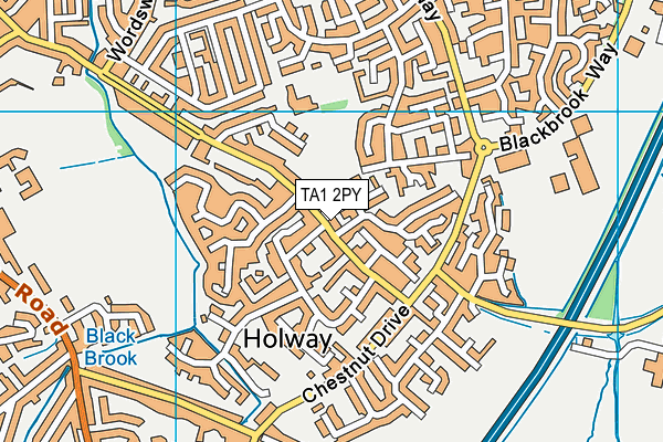 TA1 2PY map - OS VectorMap District (Ordnance Survey)