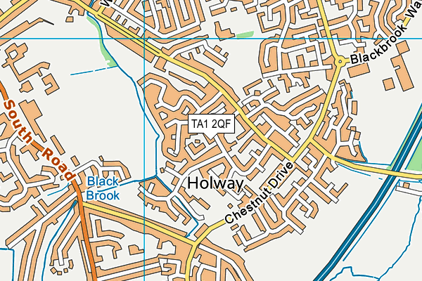 TA1 2QF map - OS VectorMap District (Ordnance Survey)