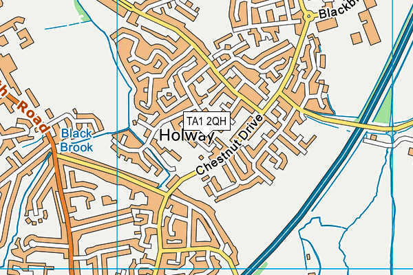 TA1 2QH map - OS VectorMap District (Ordnance Survey)