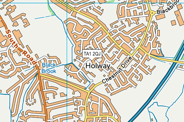 TA1 2QJ map - OS VectorMap District (Ordnance Survey)