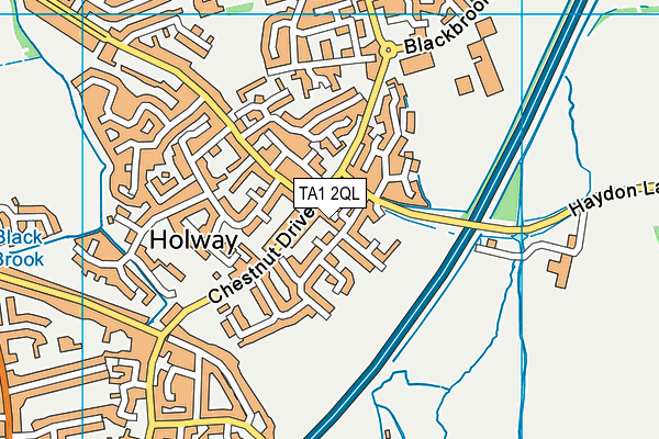 TA1 2QL map - OS VectorMap District (Ordnance Survey)