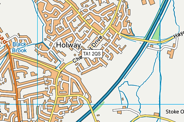 TA1 2QS map - OS VectorMap District (Ordnance Survey)