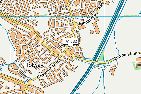 TA1 2SD map - OS VectorMap District (Ordnance Survey)