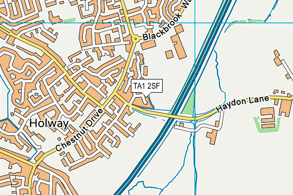 TA1 2SF map - OS VectorMap District (Ordnance Survey)