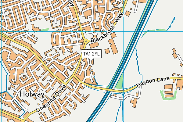 TA1 2YL map - OS VectorMap District (Ordnance Survey)