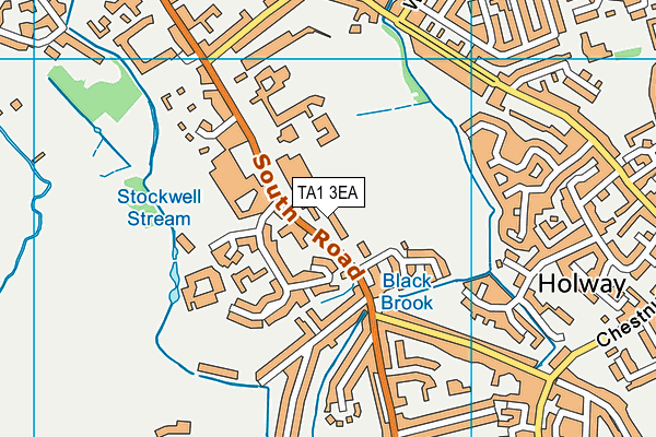 TA1 3EA map - OS VectorMap District (Ordnance Survey)