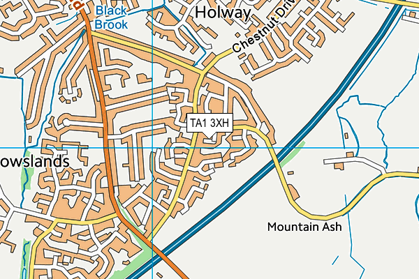 TA1 3XH map - OS VectorMap District (Ordnance Survey)