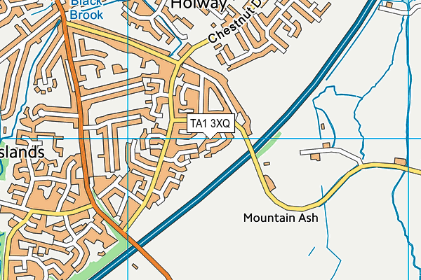 TA1 3XQ map - OS VectorMap District (Ordnance Survey)