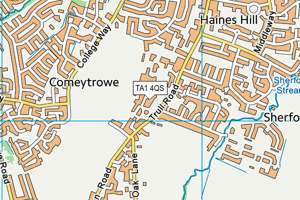 Queens College Sports Centre map (TA1 4QS) - OS VectorMap District (Ordnance Survey)
