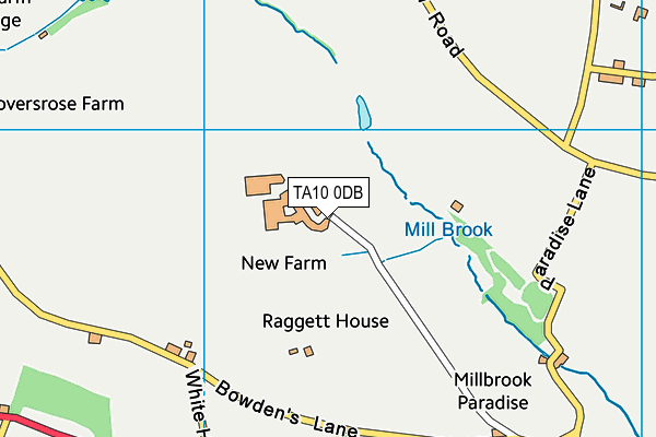 TA10 0DB map - OS VectorMap District (Ordnance Survey)