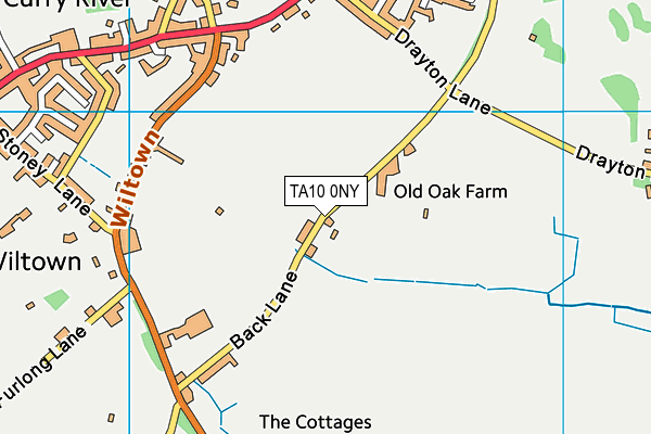 TA10 0NY map - OS VectorMap District (Ordnance Survey)