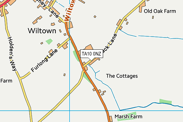 TA10 0NZ map - OS VectorMap District (Ordnance Survey)