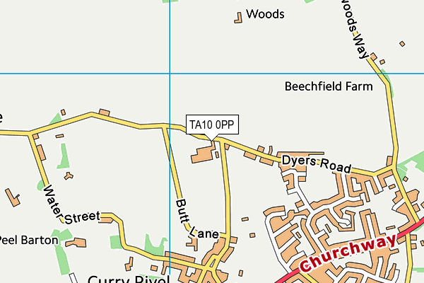 TA10 0PP map - OS VectorMap District (Ordnance Survey)