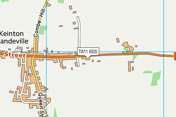 TA11 6DS map - OS VectorMap District (Ordnance Survey)