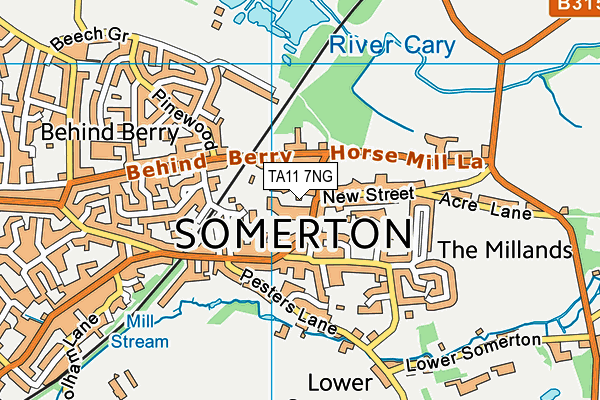 TA11 7NG map - OS VectorMap District (Ordnance Survey)