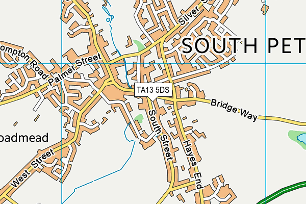 TA13 5DS map - OS VectorMap District (Ordnance Survey)