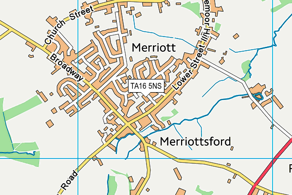 TA16 5NS map - OS VectorMap District (Ordnance Survey)