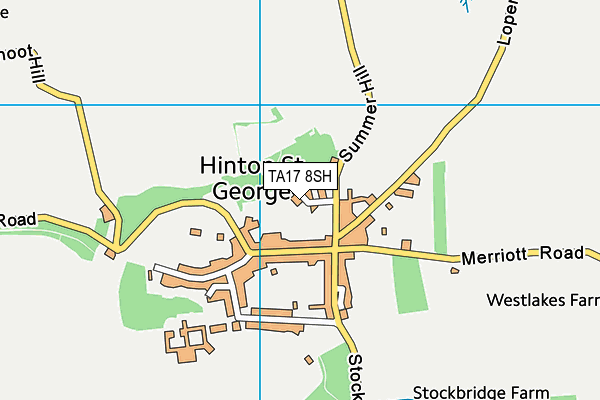 TA17 8SH map - OS VectorMap District (Ordnance Survey)