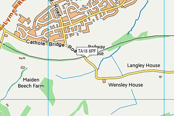 TA18 8PF map - OS VectorMap District (Ordnance Survey)