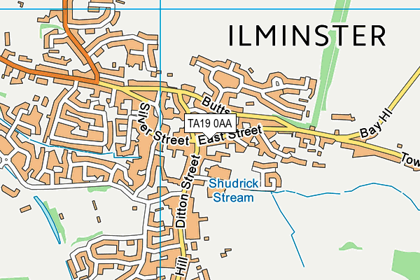 TA19 0AA map - OS VectorMap District (Ordnance Survey)