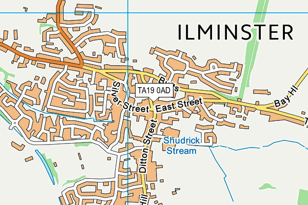 TA19 0AD map - OS VectorMap District (Ordnance Survey)