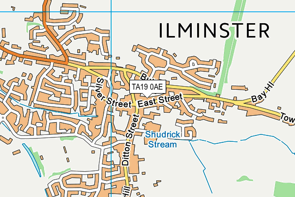 TA19 0AE map - OS VectorMap District (Ordnance Survey)