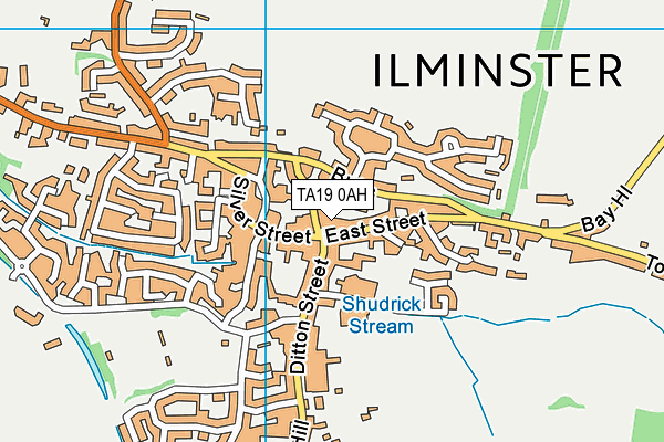 TA19 0AH map - OS VectorMap District (Ordnance Survey)